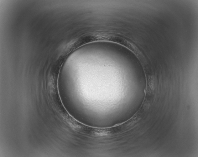 X0000081430667200701191623