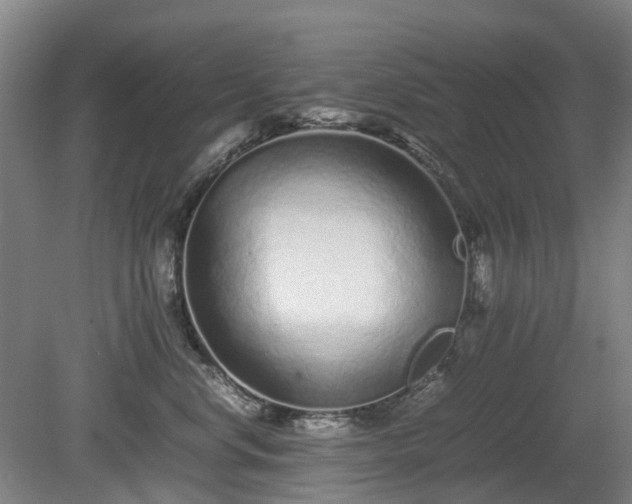 X0000081430668200701191623