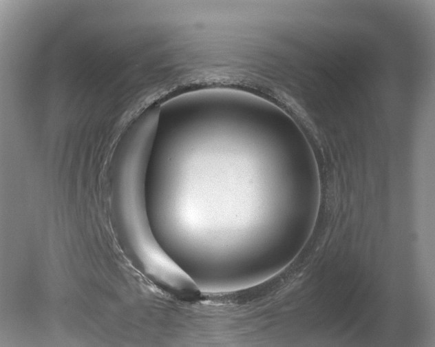 X0000081430673200701191623