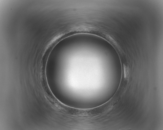 X0000081430675200701191622