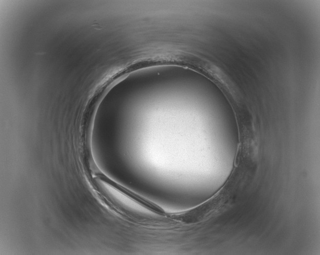 X0000081430677200701191622