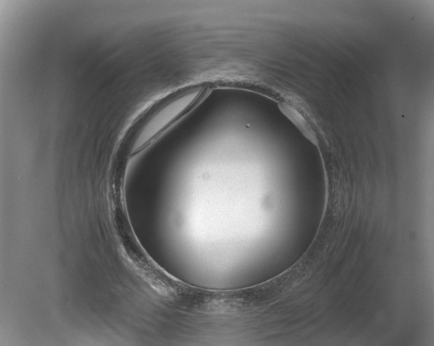 X0000081430680200701191622