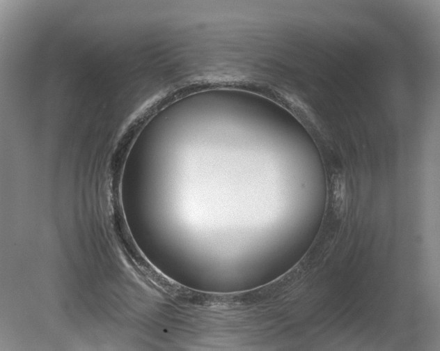 X0000081430684200701191622
