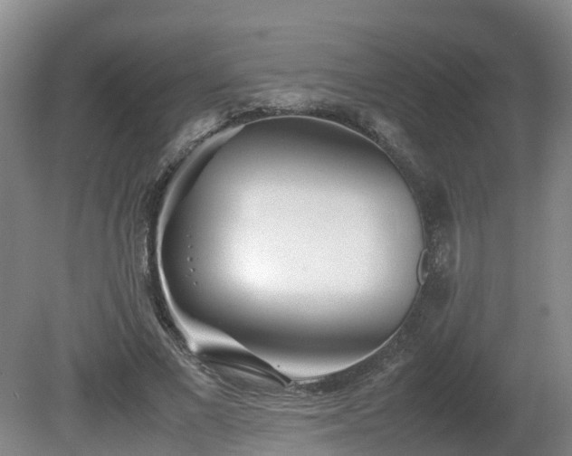 X0000081430685200701191622