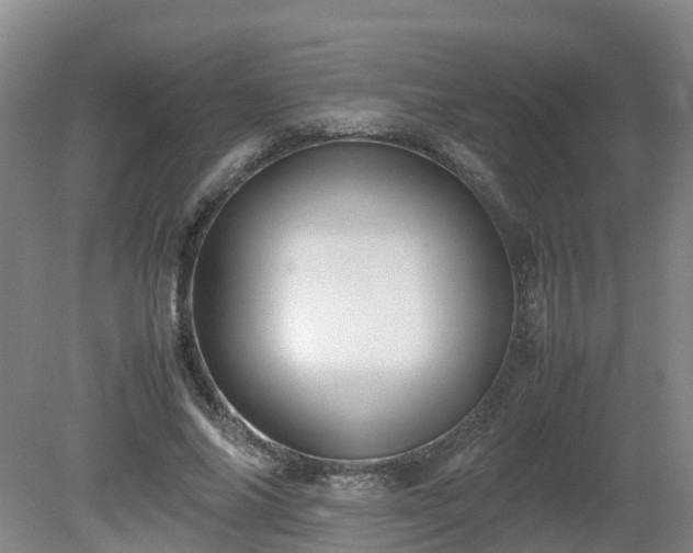 X0000081430686200701191622