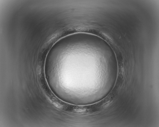 X0000081430687200701191622