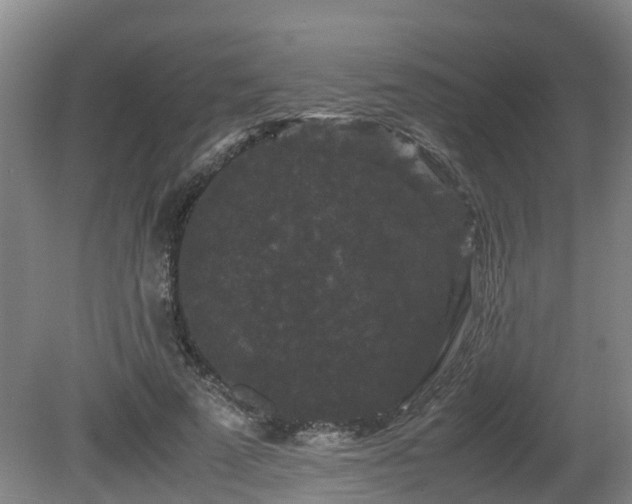 X0000081430689200701191622