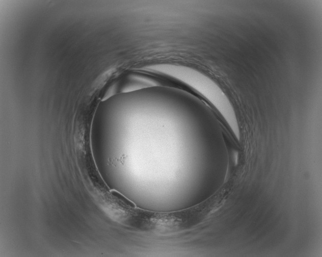 X0000081430693200701191622