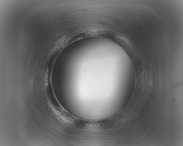 X0000081430694200701191622