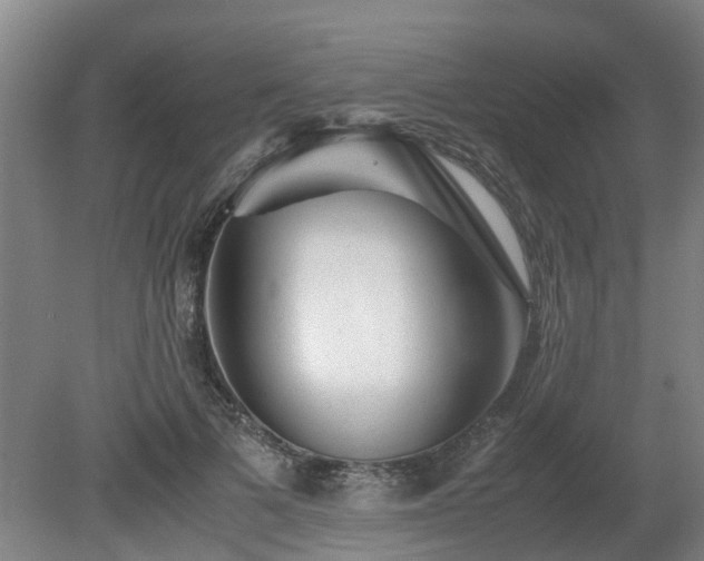 X0000081430697200701191622