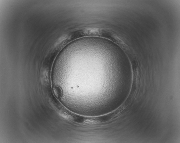 X0000081430699200701191622