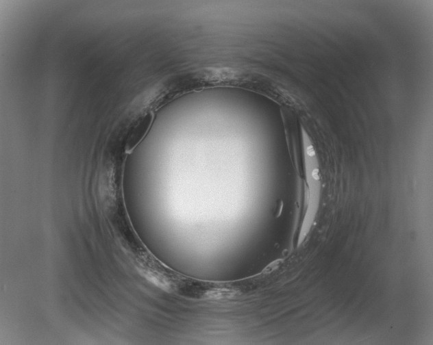 X0000081430700200701191622