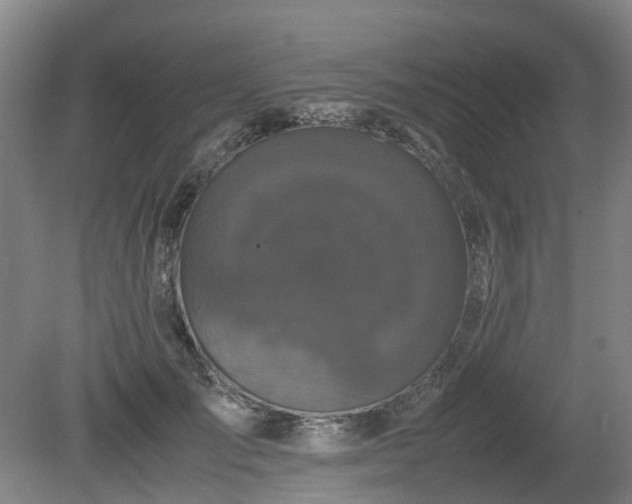 X0000081430701200701191622