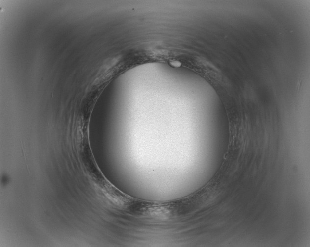 X0000081430702200701191622