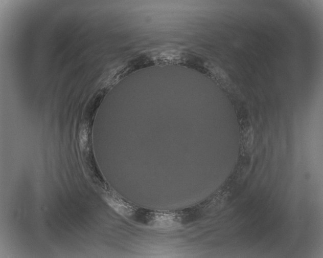 X0000081430709200701191622