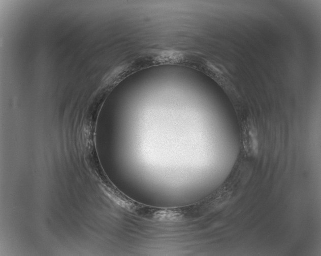 X0000081430714200701191622