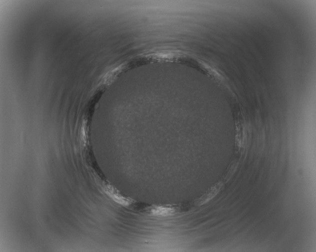 X0000081430718200701191622