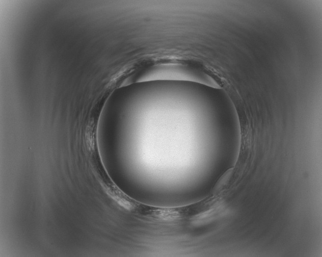 X0000081430719200701191622