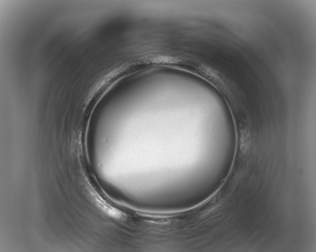 X0000081430725200701191621