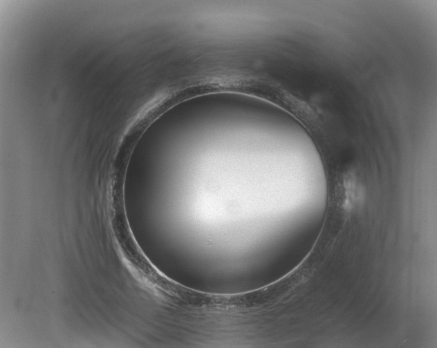 X0000081430730200701191621