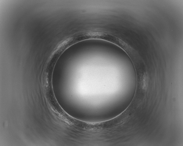 X0000081430731200701191621