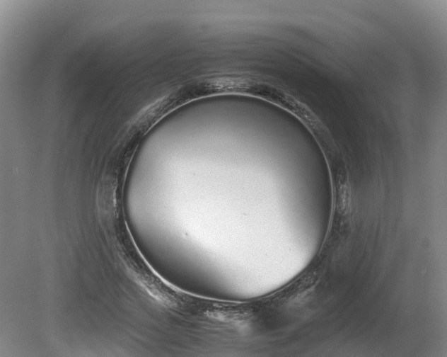 X0000081430733200701191621