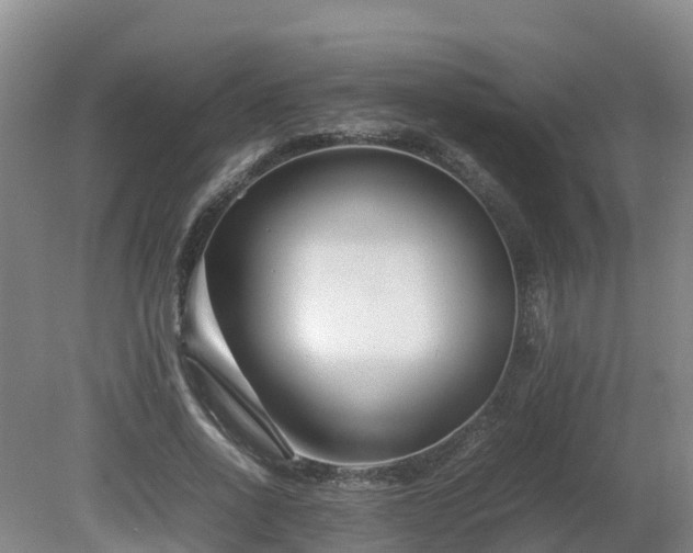X0000081430734200701191621