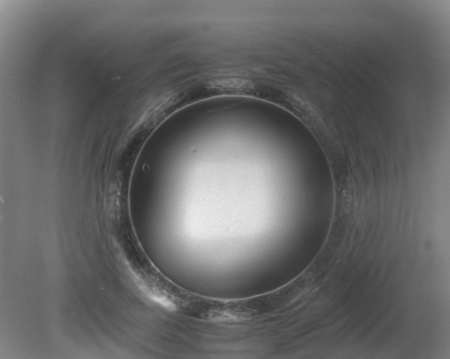 X0000081430739200701191621