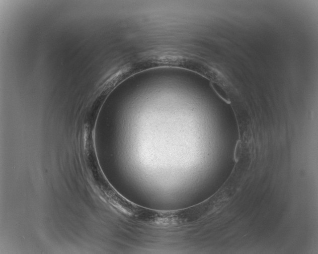 X0000081430744200701191621