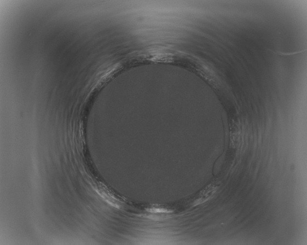 X0000081430748200701191621