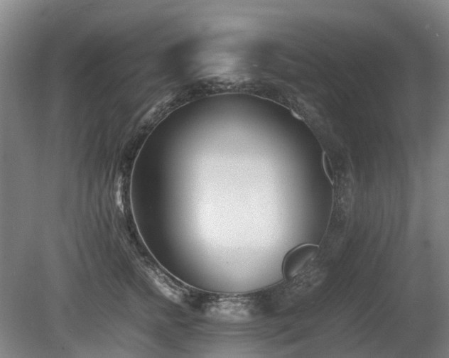 X0000081430758200701191622