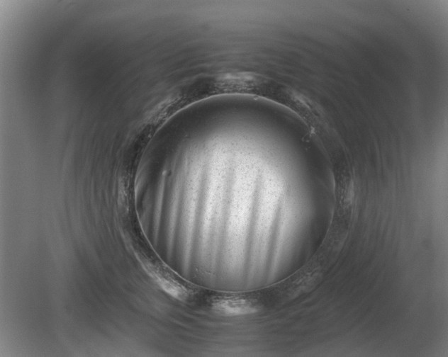 X0000081430759200701191622