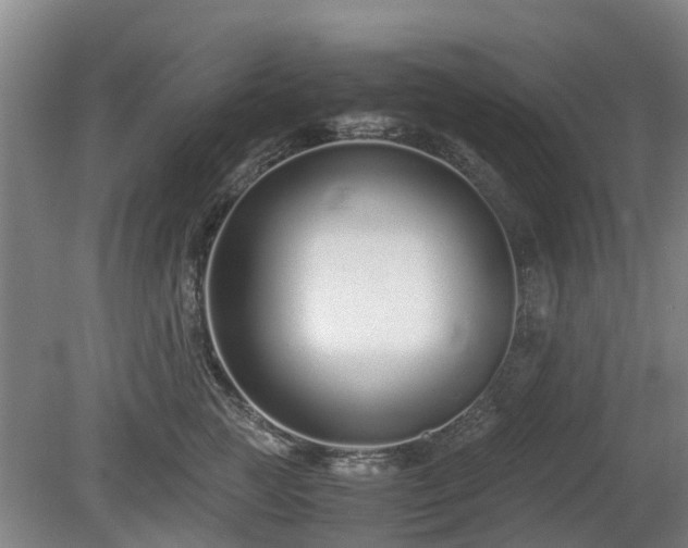 X0000081430761200701191622