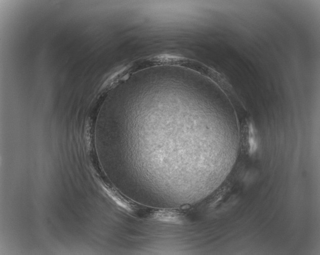 X0000081430762200701191622
