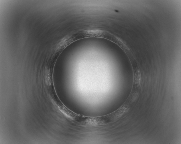 X0000081430764200701191622