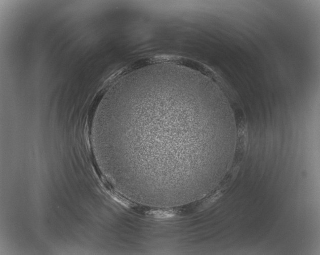 X0000081430765200701191622