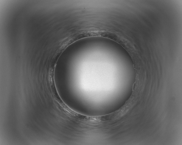 X0000081430768200701191622