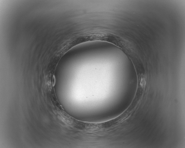 X0000081430771200701191621