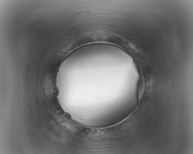 X0000081430772200701191621