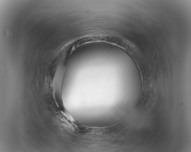 X0000081430773200701191621
