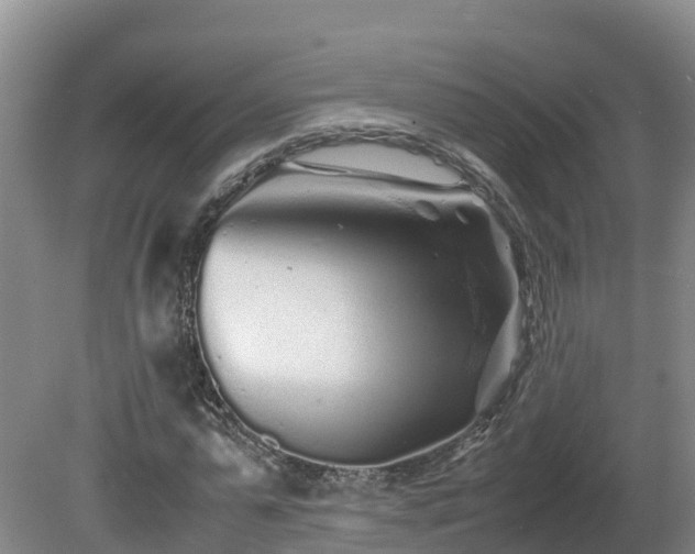 X0000081430775200701191621