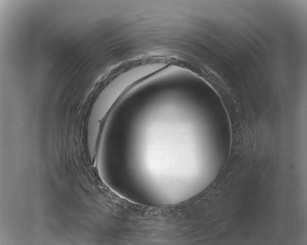 X0000081430776200701191621