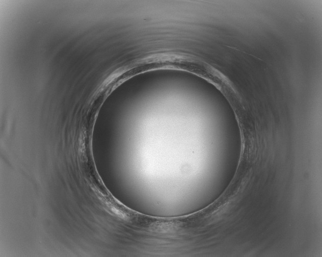 X0000081430778200701191621