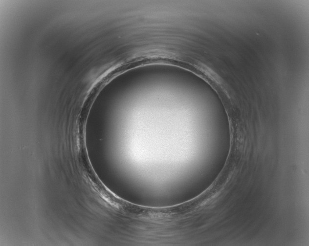 X0000081430782200701191621