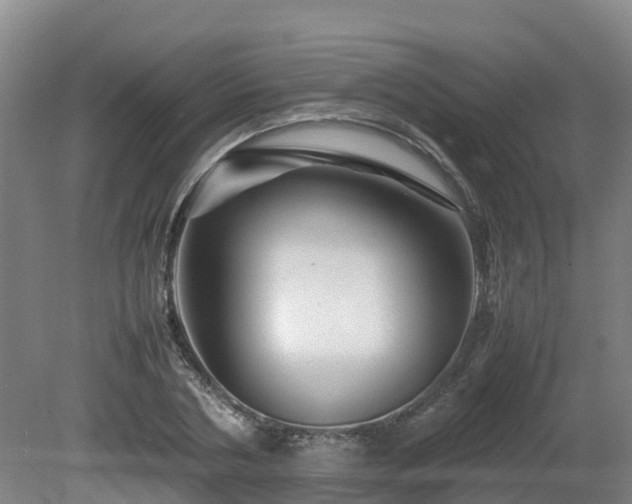 X0000081430786200701191621