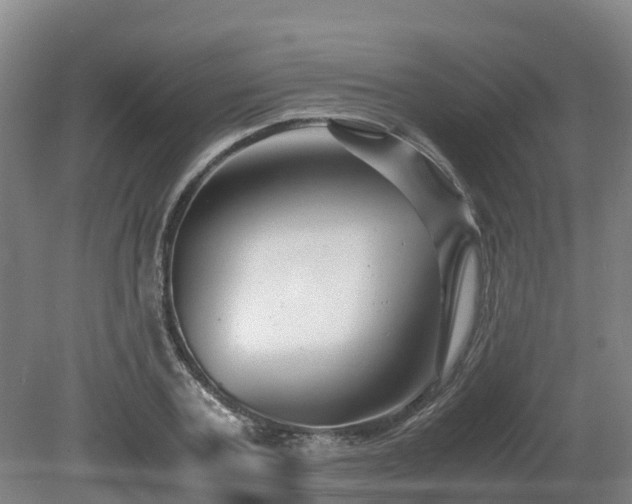 X0000081430787200701191621