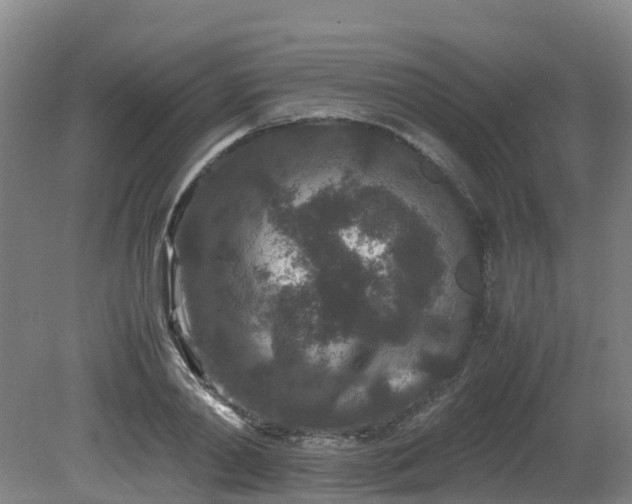 X0000081430790200701191621