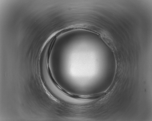 X0000081430792200701191620