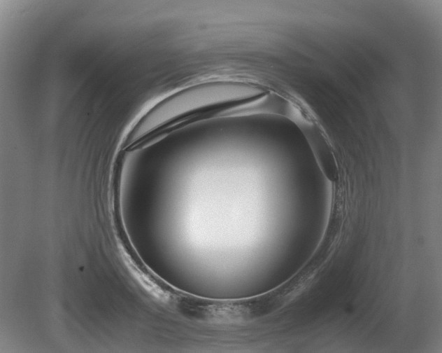X0000081430795200701191620