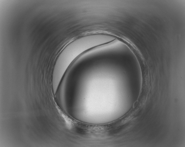 X0000081430801200701191620